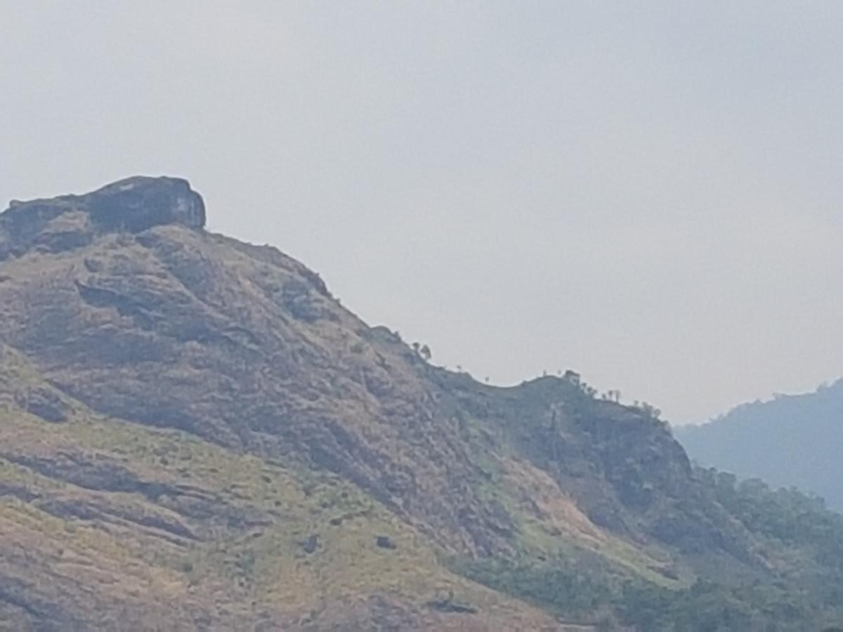 Sceva'S Garden Home Munnar Exterior photo